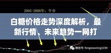 白糖价格走势深度解析，最新行情、未来趋势一网打尽！