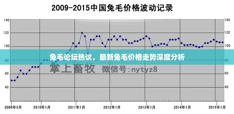 兔毛论坛热议，最新兔毛价格走势深度分析