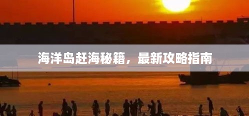 海洋岛赶海秘籍，最新攻略指南