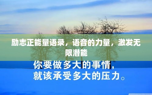 2025年1月27日 第12页