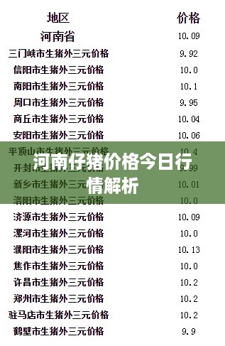 河南仔猪价格今日行情解析