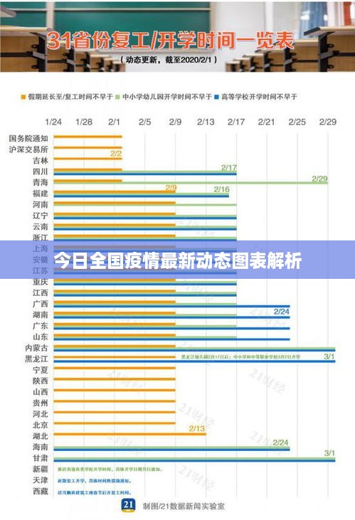 今日全国疫情最新动态图表解析