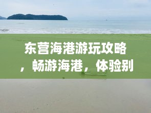 东营海港游玩攻略，畅游海港，体验别样风情！