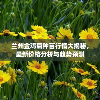 兰州金鸡菊种苗行情大揭秘，最新价格分析与趋势预测