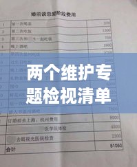 两个维护专题检视清单，两个维护自查 