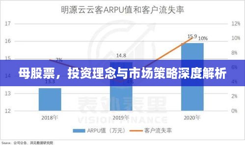 母股票，投资理念与市场策略深度解析