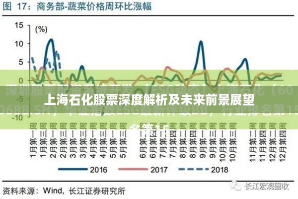 上海石化股票深度解析及未来前景展望