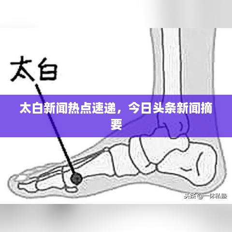 太白新闻热点速递，今日头条新闻摘要