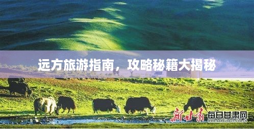 远方旅游指南，攻略秘籍大揭秘