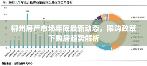 柳州房产市场年底最新动态，限购政策下购房趋势解析