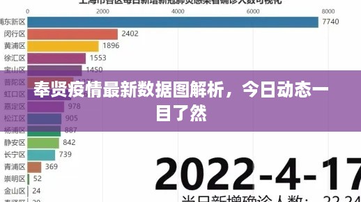 奉贤疫情最新数据图解析，今日动态一目了然