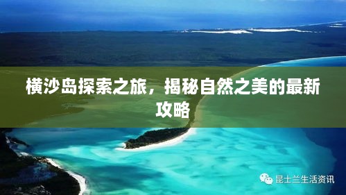 横沙岛探索之旅，揭秘自然之美的最新攻略