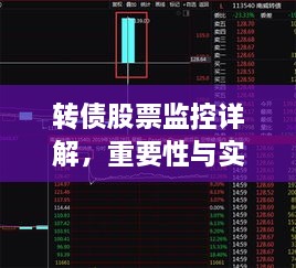 转债股票监控详解，重要性与实施策略全解析