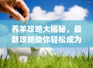 养羊攻略大揭秘，最新攻略助你轻松成为养羊达人！