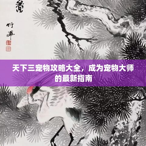 天下三宠物攻略大全，成为宠物大师的最新指南