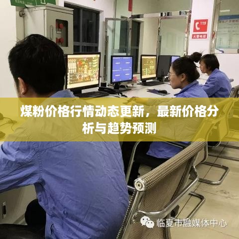 煤粉价格行情动态更新，最新价格分析与趋势预测