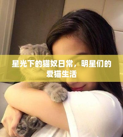 星光下的猫奴日常，明星们的爱猫生活