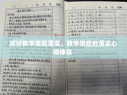 抓好教学常规落实，教学常规的落实心得体会 