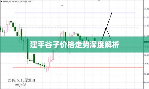 建平谷子价格走势深度解析