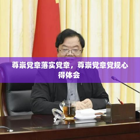 尊崇党章落实党章，尊崇党章党规心得体会 