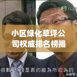 小区绿化草坪公司权威排名榜揭晓