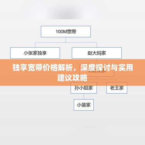 独享宽带价格解析，深度探讨与实用建议攻略