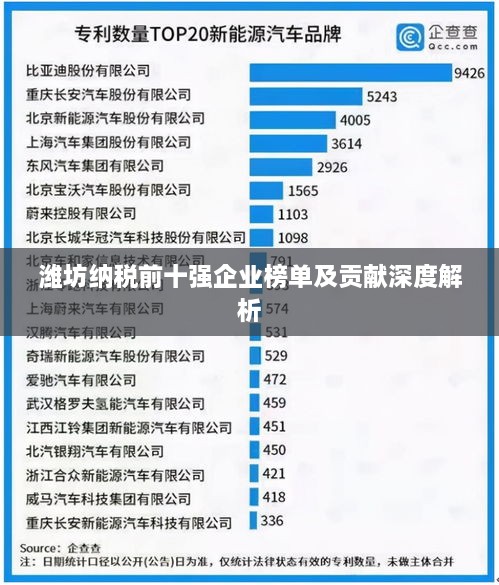 潍坊纳税前十强企业榜单及贡献深度解析