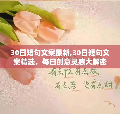 每日创意灵感揭秘，精选30日短句文案大解密