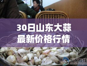 山东大蒜最新价格行情动态及分析（30日更新）