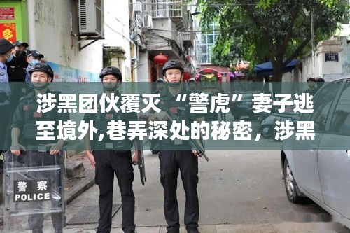 警虎妻子逃亡异国，涉黑团伙覆灭背后的秘密与异国小店之旅