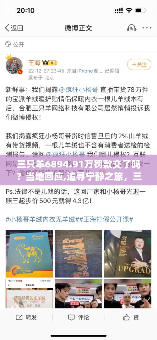 关于三只羊罚款及自然馈赠的追寻宁静之旅回应，罚款处理进展与反思