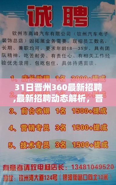 晋州360最新招聘动态解析与热点聚焦