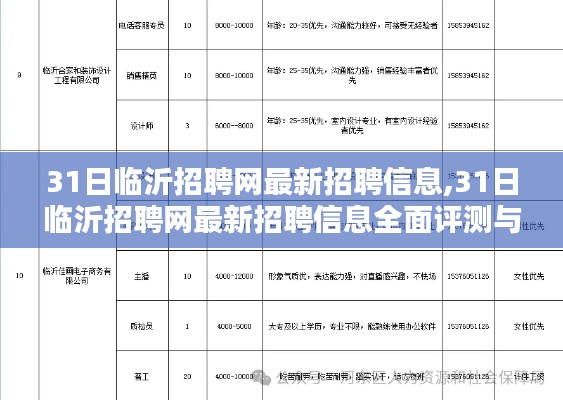 临沂招聘网最新招聘信息全面介绍与评测