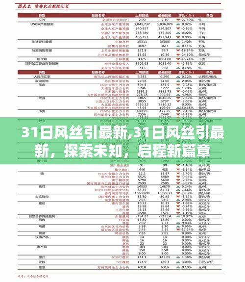 探索未知，启程新篇章——最新31日风丝引资讯报道