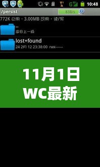 11月1日WC最新盗撮,探秘小巷深处的独特风味——WC最新盗撮带你领略隐藏版小店风采