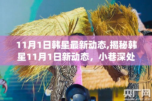 韩星最新动态揭秘，探访独特韩流小店之旅（11月1日更新）