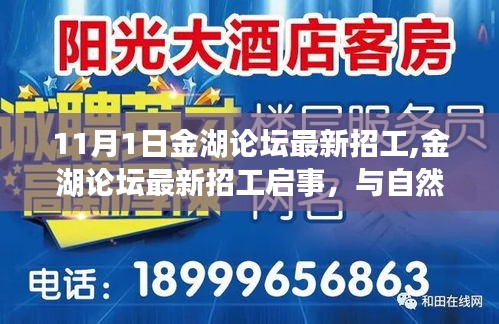 金湖论坛最新招工启事，与自然同行，寻找内心的宁静之旅