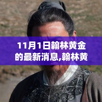 翰林黄金，闪耀时刻与自信征程的最新消息（11月1日更新）