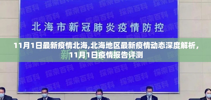 北海地区最新疫情动态深度解析及报告评测，11月最新更新