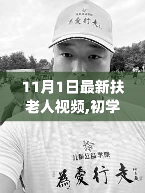 11月1日最新扶老人视频教程及操作指南，适合初学者与进阶用户