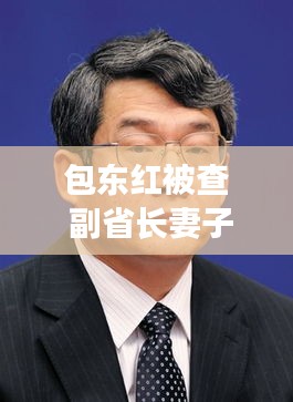 包东红涉案揭秘，副省长妻子落马背后的故事与真相探究