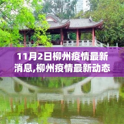 11月2日柳州疫情最新动态及影响回顾