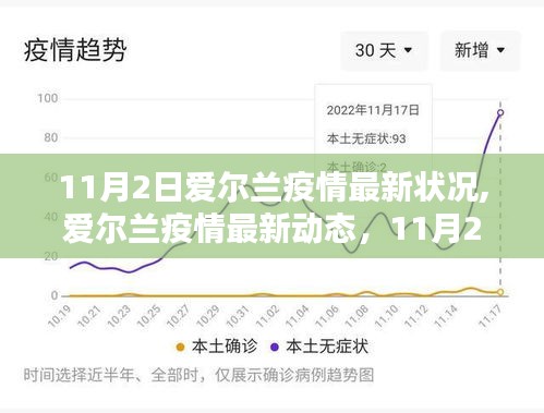 爱尔兰疫情最新动态与深度解析，11月2日报告出炉