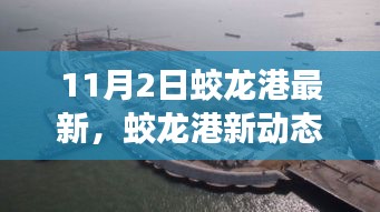 蛟龙港最新动态深度解读，探析某某观点，11月2日新进展