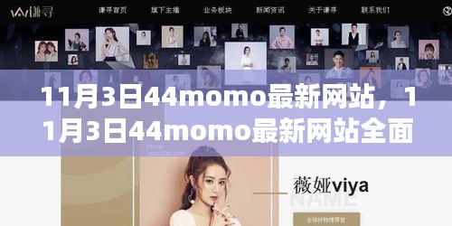 11月3日44momo最新网站评测与介绍，全面探索其功能与特点