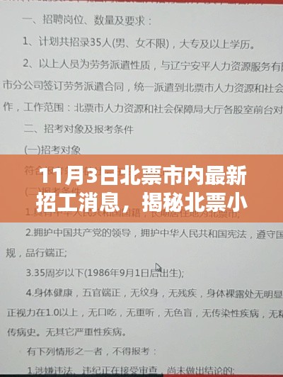 北票市特色小店招工奇遇记，揭秘隐藏宝藏，最新招工消息一览