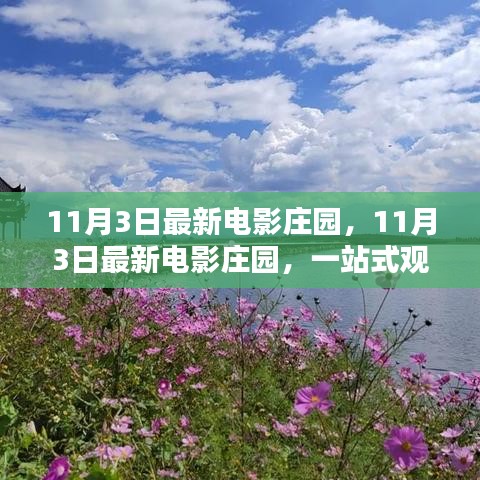 11月3日最新电影庄园，一站式观影体验深度评测