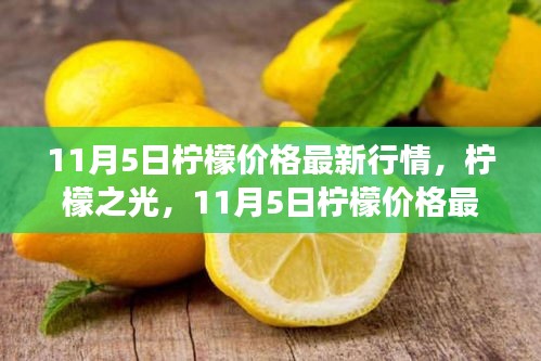 11月5日柠檬价格最新行情，柠檬之光与自信之舞