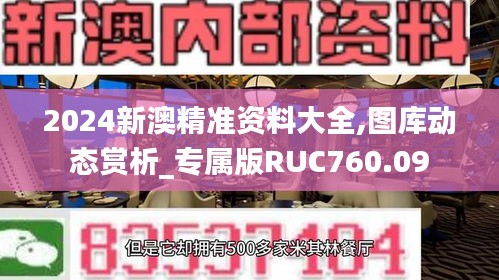 2024新澳精准资料大全,图库动态赏析_专属版RUC760.09