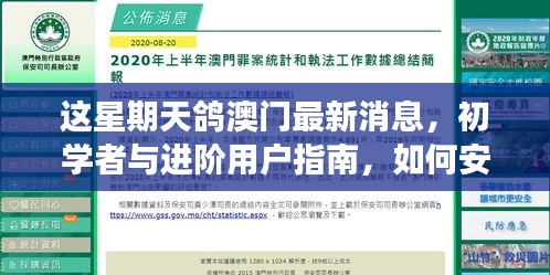 星期天鸽澳门最新消息揭秘，初学者与进阶用户指南，安全获取并解读避免违法犯罪风险